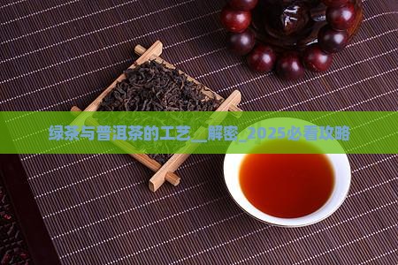 绿茶与普洱茶的工艺