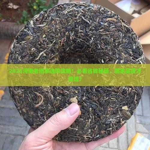 河南老班章哪家品质好