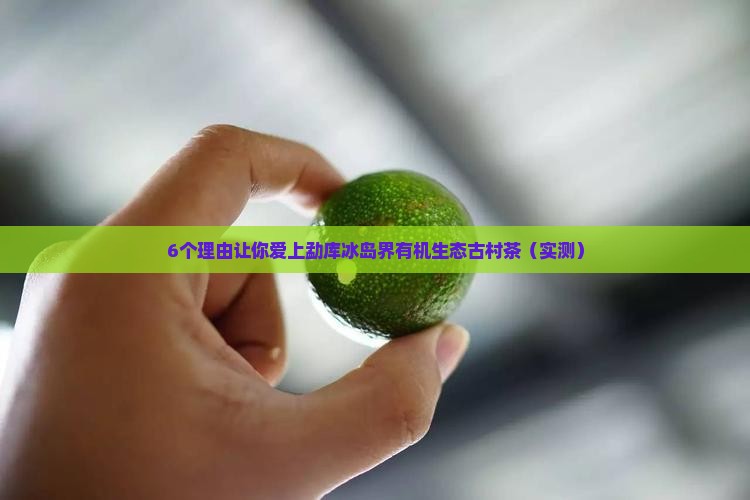 勐库冰岛界有机生态古村茶