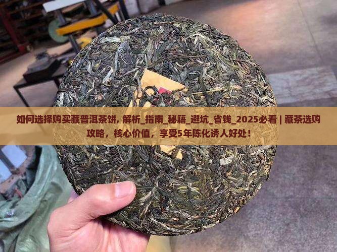 如何选择购买藏普洱茶饼
