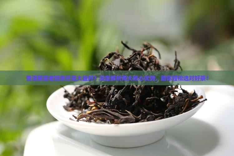 普洱茶是老班章还是大益好
