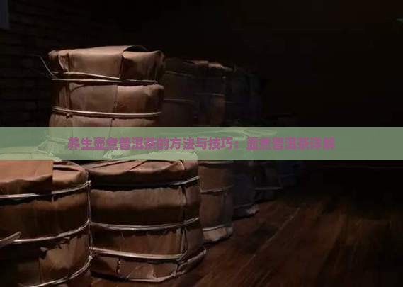养生壶里怎么煮普洱茶