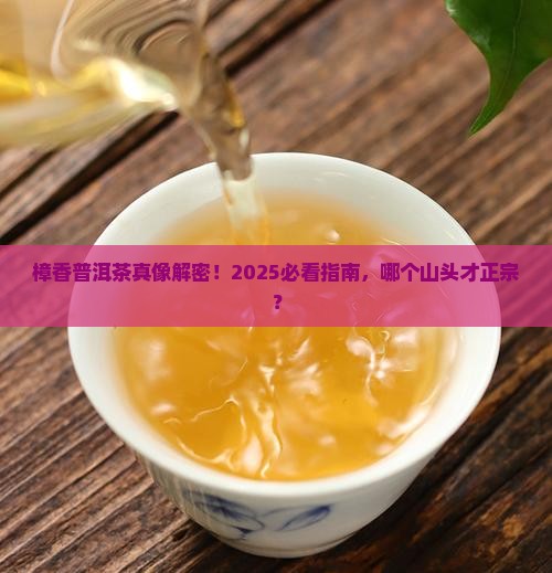 樟香普洱茶是哪个山头的