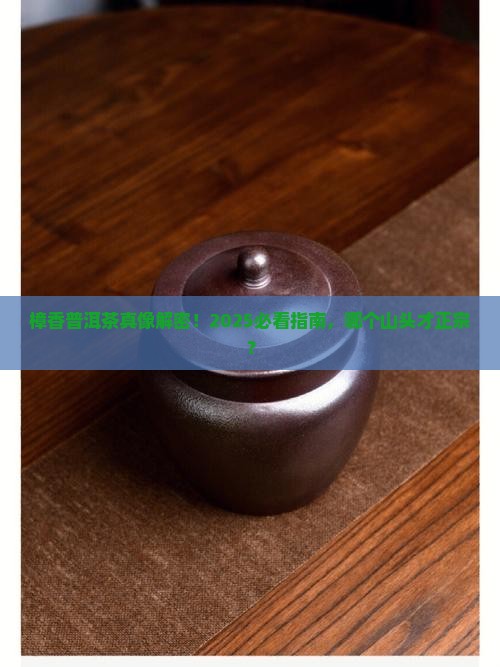 樟香普洱茶是哪个山头的
