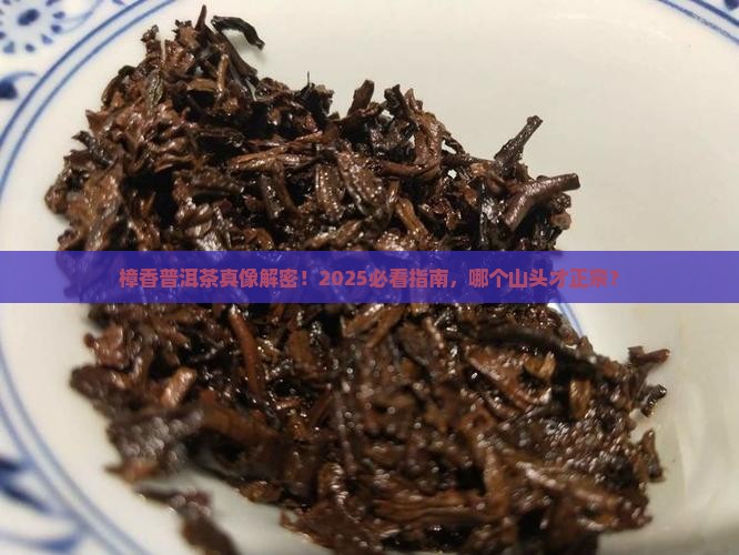 樟香普洱茶是哪个山头的