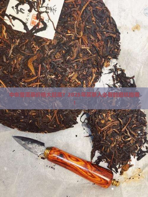 普洱茶中东价格