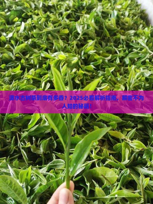 漭水古树茶的特点