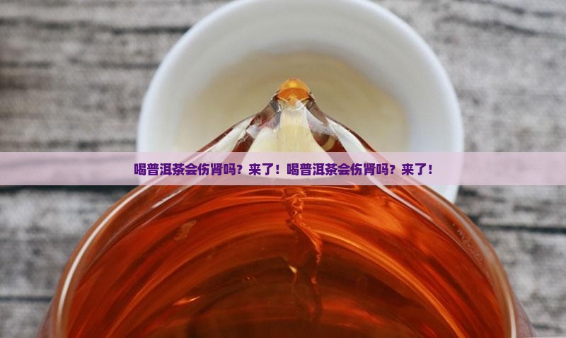 喝普洱茶会伤肾吗