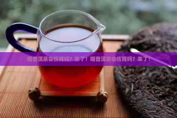 喝普洱茶会伤肾吗