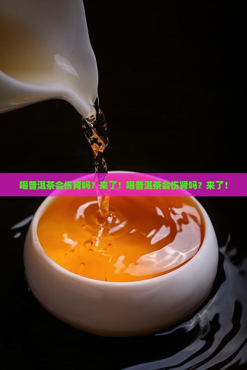 喝普洱茶会伤肾吗