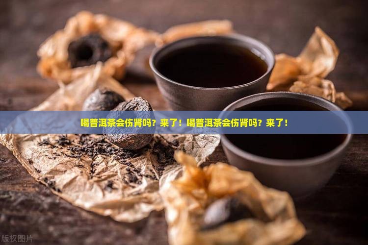 喝普洱茶会伤肾吗