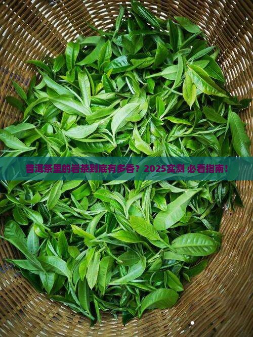 普洱茶里面的岩茶好吗