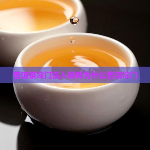 普洱茶冷门没人喝吗为什么