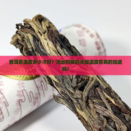 普洱茶温度多少