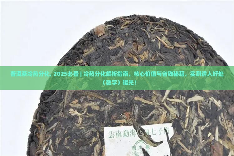 普洱茶冷热分化