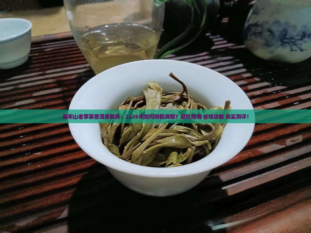 哀牢山老茅寨普洱茶