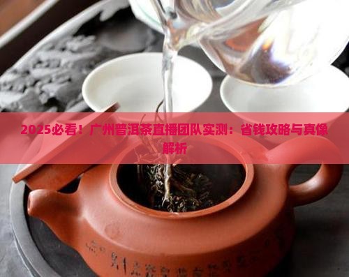 广州普洱茶直播团队