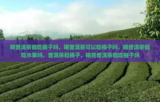 喝普洱茶能吃橘子吗