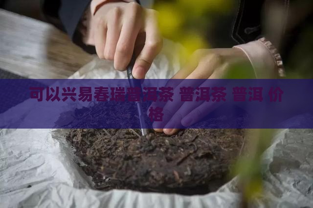 可以兴易春瑞普洱茶