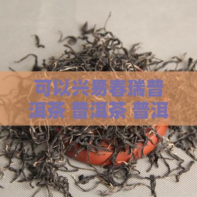 可以兴易春瑞普洱茶