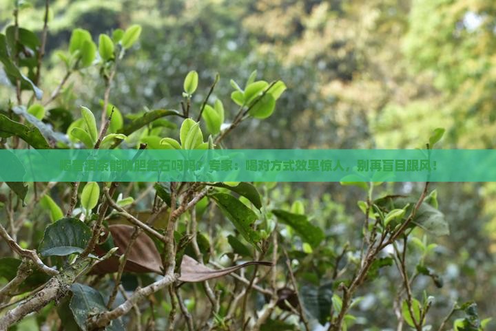 喝普洱茶能防胆结石吗吗