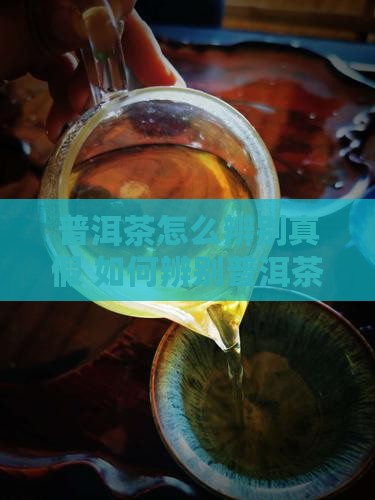 曼拱山普洱茶怎么辨别真假
