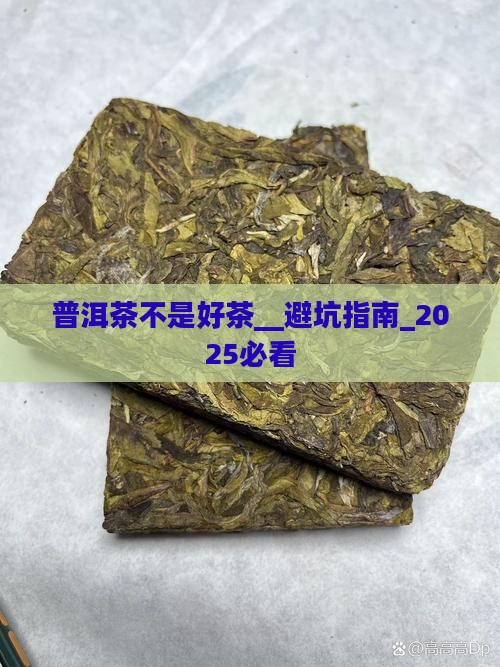 普洱茶不是好茶