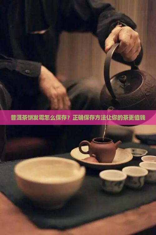 普洱茶饼发霉怎么保存