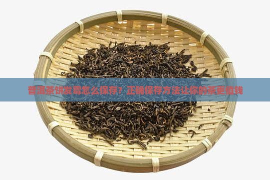 普洱茶饼发霉怎么保存