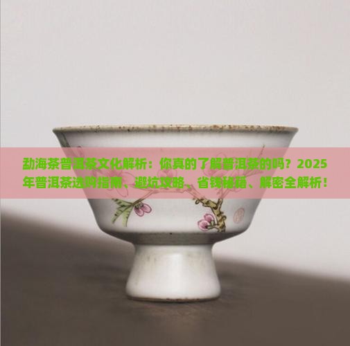 勐海茶普洱茶文化