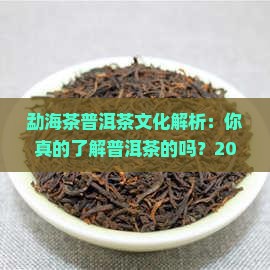 勐海茶普洱茶文化