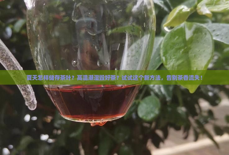 夏天怎样储存茶叶