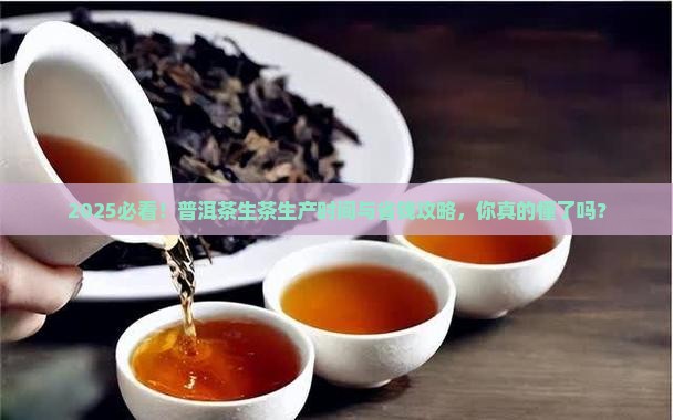 普洱茶生茶的生产时间