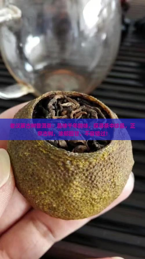 老汉寨古树普洱茶