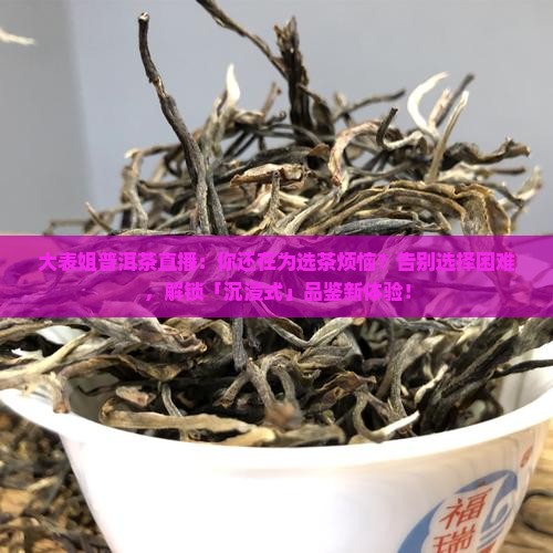 大表姐普洱茶直播