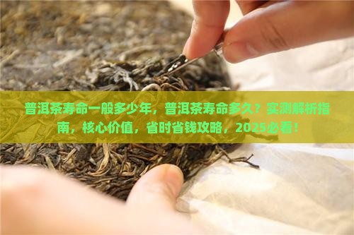 普洱茶寿命一般多少年
