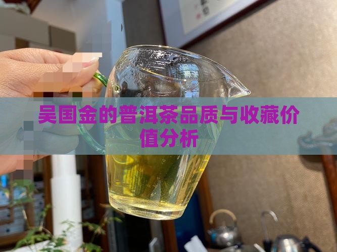 吴国金的普洱茶