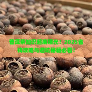 普洱茶知识上热门