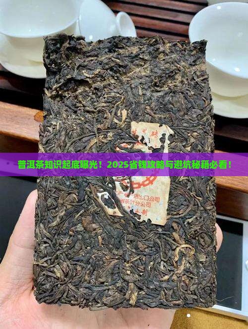 普洱茶知识上热门