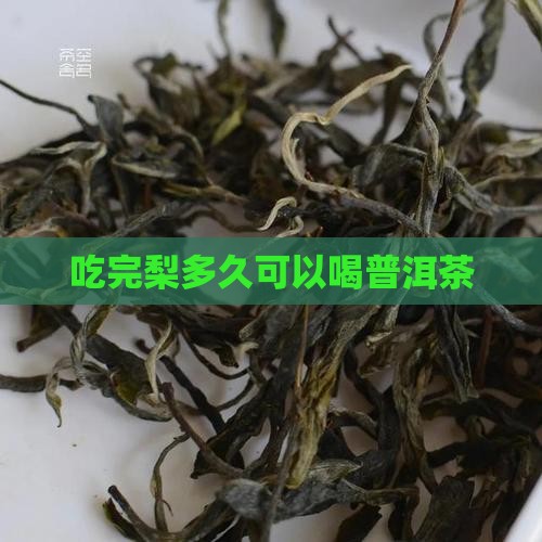 吃完梨多久可以喝普洱茶