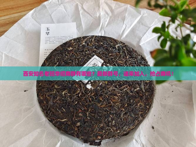 西安知名老班章招商群有哪些