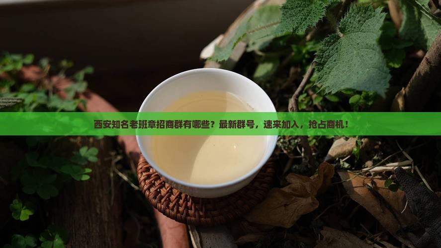 西安知名老班章招商群有哪些