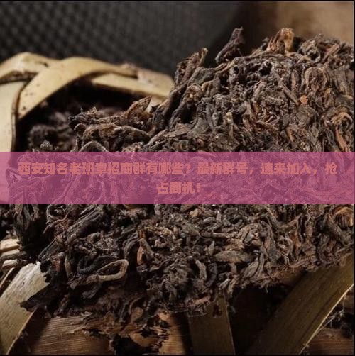 西安知名老班章招商群有哪些