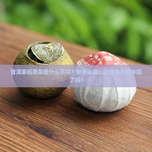 普洱茶和黑茶是什么不同