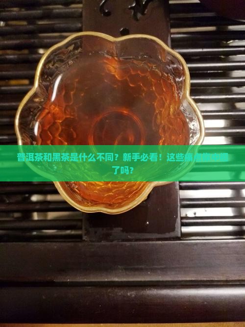 普洱茶和黑茶是什么不同