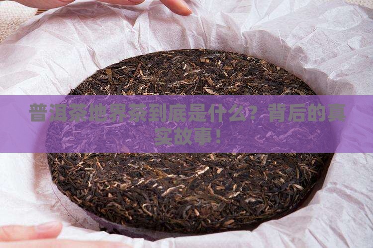 普洱茶地界茶什么意思