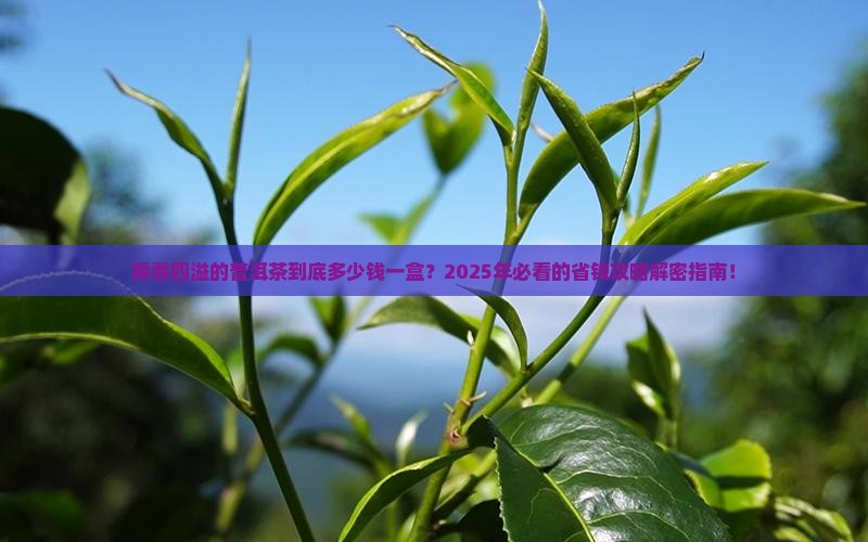 糯韵经典普洱茶多少钱一盒
