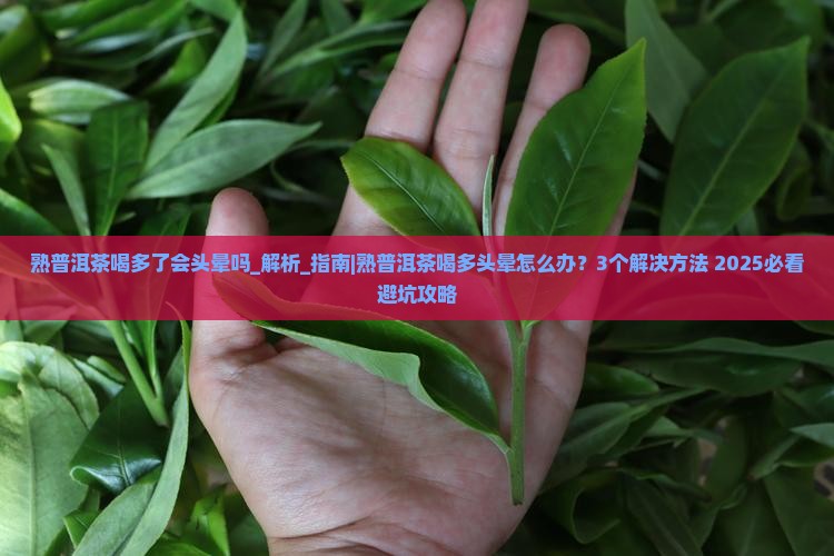 熟普洱茶喝多了会头晕吗