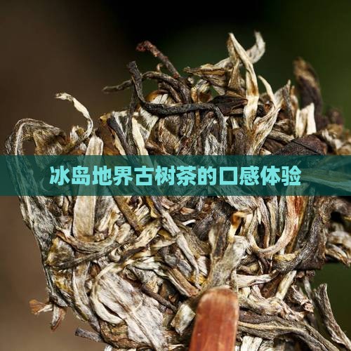 地界冰岛茶的口感