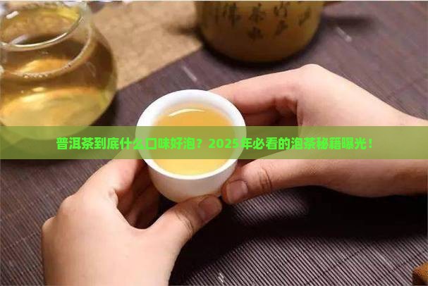 普洱茶都什么口味好泡呢